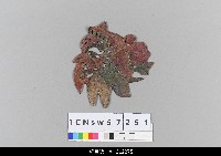 藏品(中國湖北皮影戲偶頭-淨)的圖片